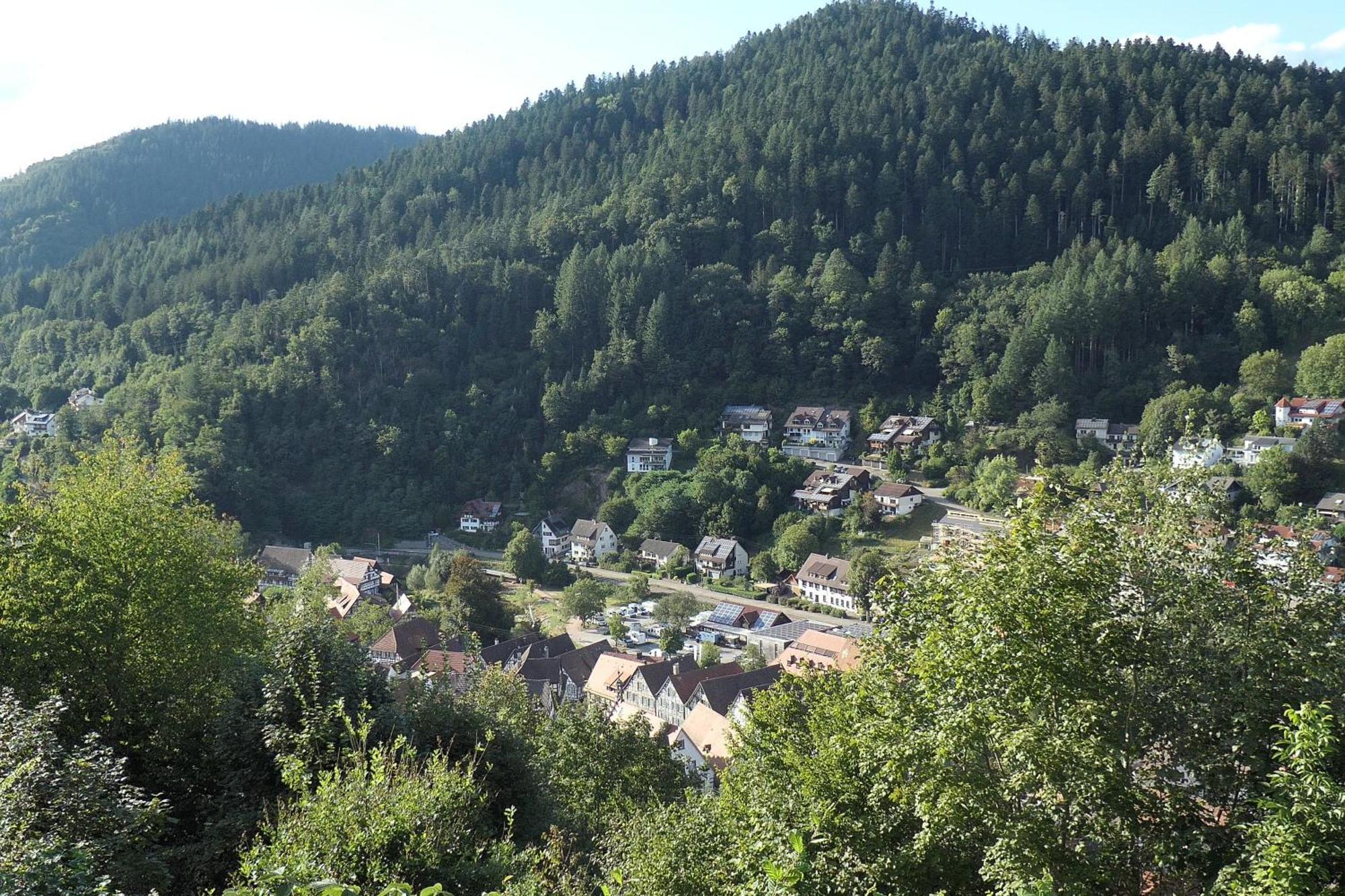 Am Sonnenberg Appartement Schiltach Buitenkant foto